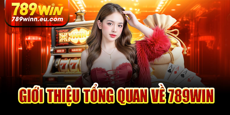 Giới thiệu tổng quan về 789win