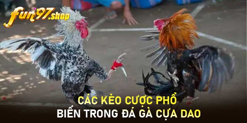 Các kèo cược phổ biến trong Đá gà cựa dao
