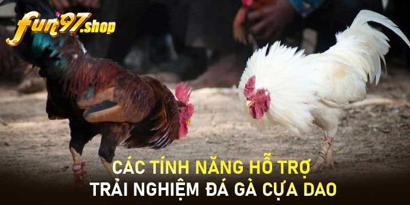 Các tính năng hỗ trợ trải nghiệm Đá gà cựa dao