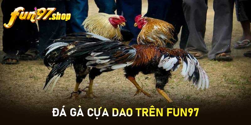 Đá gà cựa dao trên FUN97