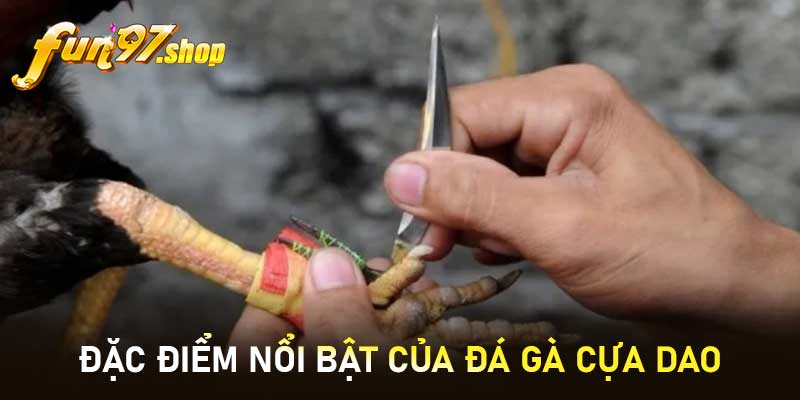 Đặc điểm nổi bật của Đá gà cựa dao